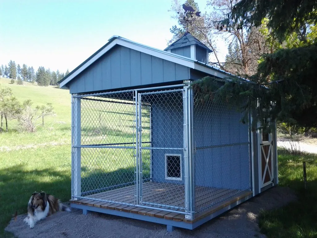 Dog Kennel Shed